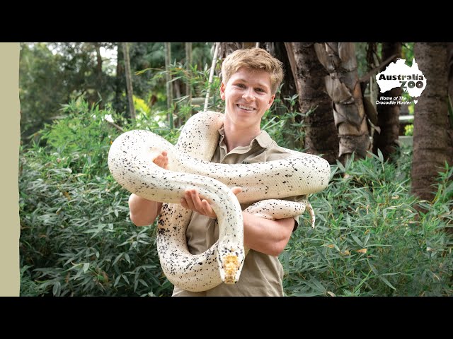 Robert Irwin in the Snake House | Irwin Family Adventures