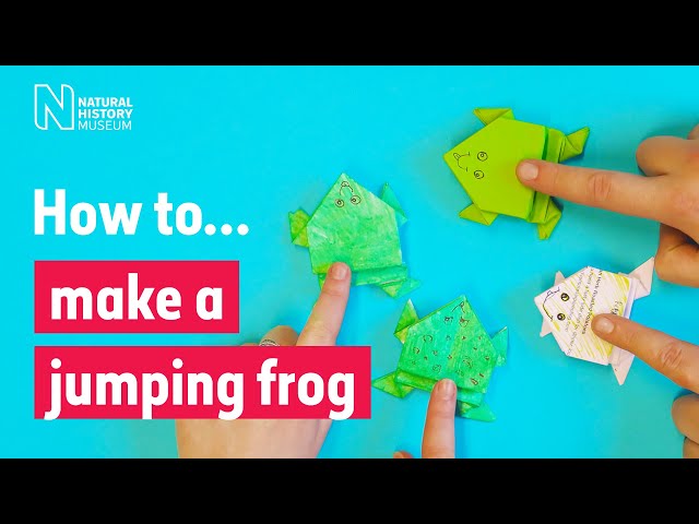 How to make a jumping origami frog | Natural History Museum