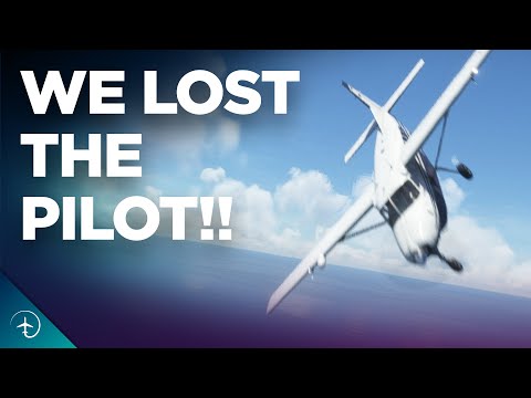 HOW did a PASSENGER Land this Airplane?!