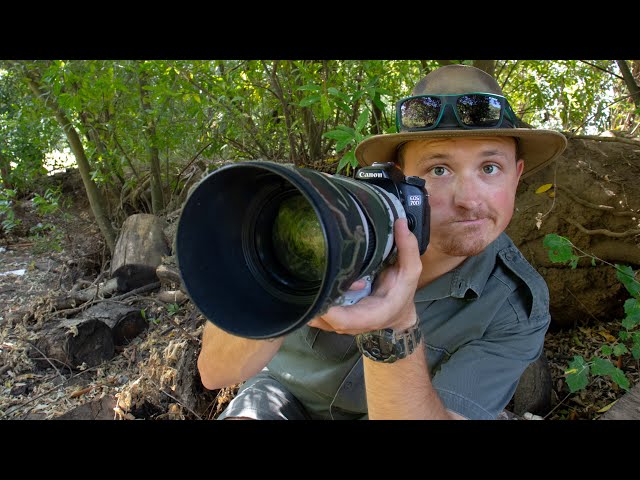 3 Ways To Improve Your Wildlife Photography