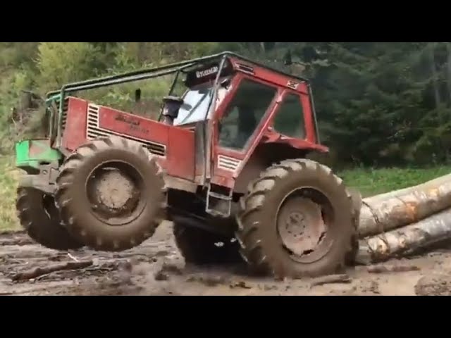 Power pullers! // old farm tractors working hard // logging edition