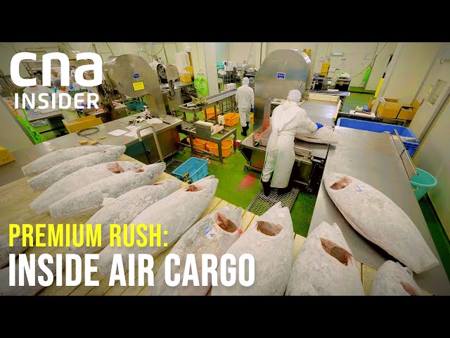 Inside An Air Cargo Hub: How Goods Flow Through Singapore | Premium Rush: Inside Air Cargo Singapore