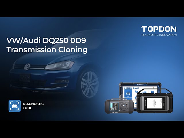 Volkswagen/Audi 0D9/DQ250 6 Speed DSG (Dual Clutch) Transmission Mechatronics Cloning