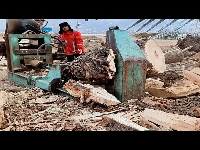 Awesome Biggest Homemade Wood Splitter - Extreme Fast Firewood Processing Machine Modern Technology