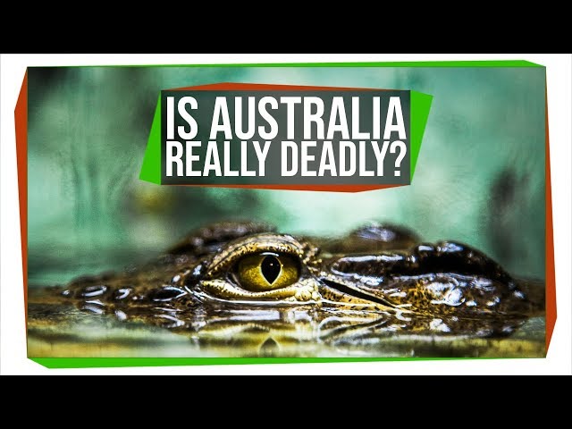 Is Australia Trying to Kill You?