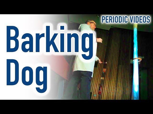 Barking Dog (slow motion) - Periodic Table of Videos