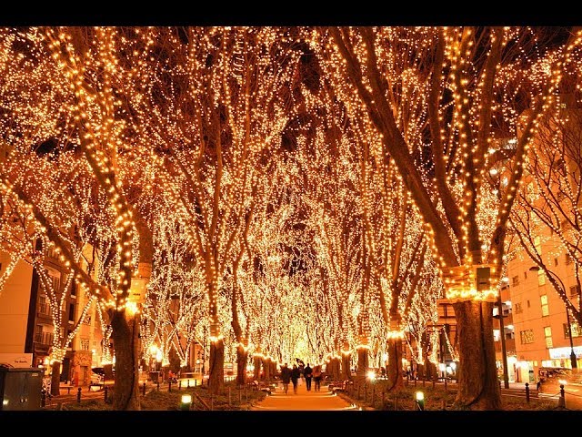 全国各地のツリーとイルミネーション Christmas tree illumination