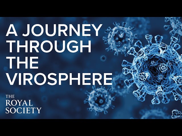 A Journey Through the Virosphere  | The Royal Society