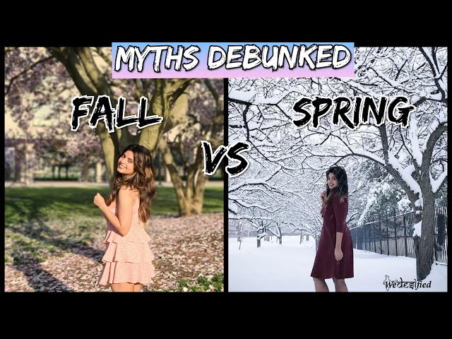 Fall vs Spring semester | All you need to know | Myths Debunked | Study in US | WeDesified