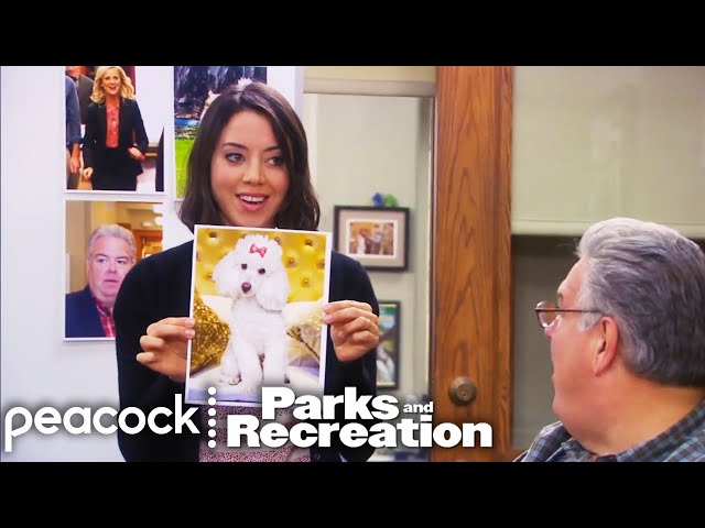 The Parks Department Spirit Dogs | Parks and Recreation