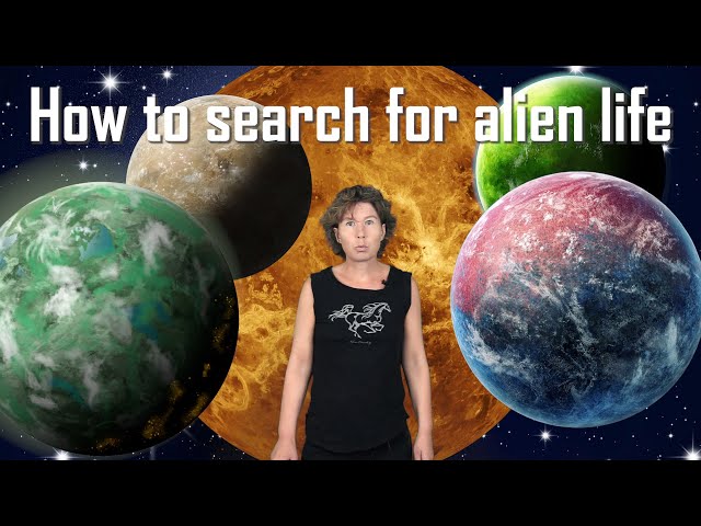 Current and Upcoming Searches for Extraterrestrial Life