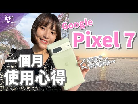 Google Pixel 7 一個月使用心得 歷代顏值最高的手機！加碼與 Pixel 6 Pro、iPhone 14 Pro 感受差異【莫娜 Moana】