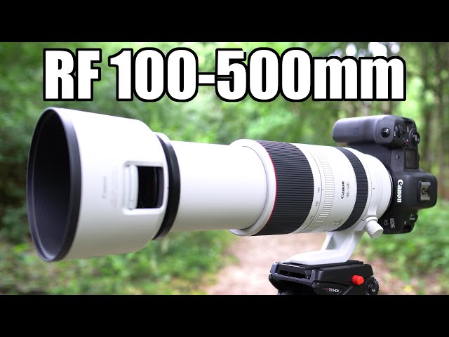 Canon RF 100-500mm HANDS ON first looks
