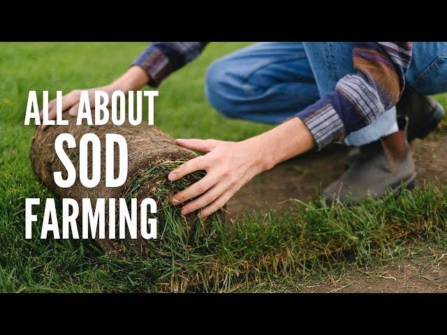Sod Farming: How to Start a Successful Sod Farm