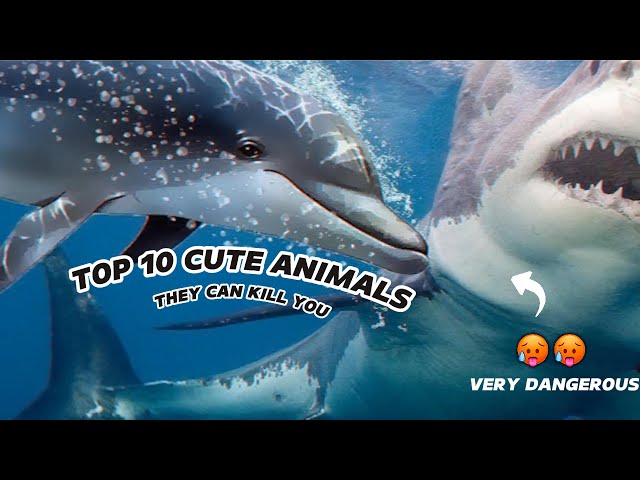 Top 10 Cute Animals That Could Kill You