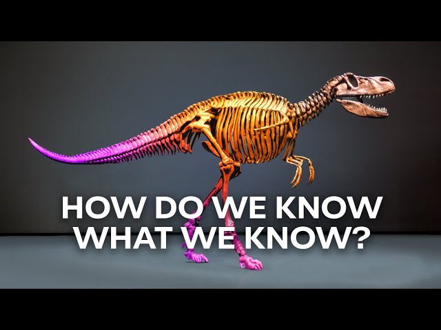 Facts and Fossils | The Light of Evolution - Episode 2