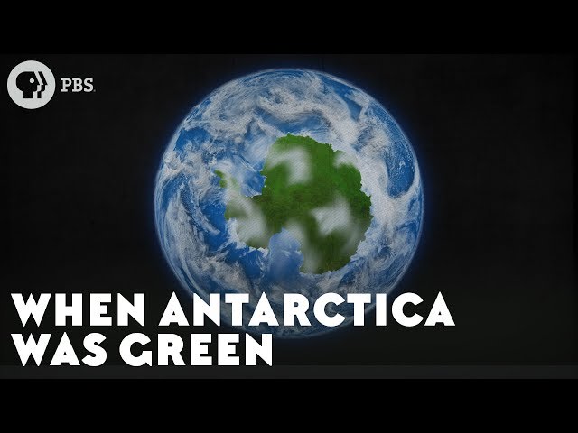 When Antarctica Was Green