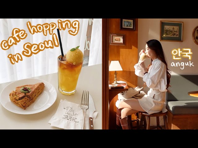 cafe hopping in seoul 🍊avocado burger, orange sorbet iced tea, garlic butter fries, einspänner