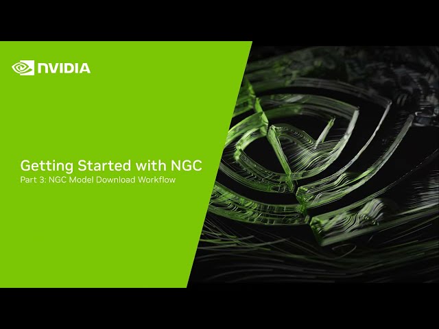 Getting Started with NGC Part 3: NGC Model Download Workflow