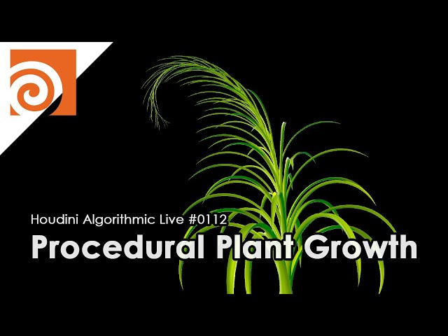 Houdini Algorithmic Live #112 - Procedural Plant Growth
