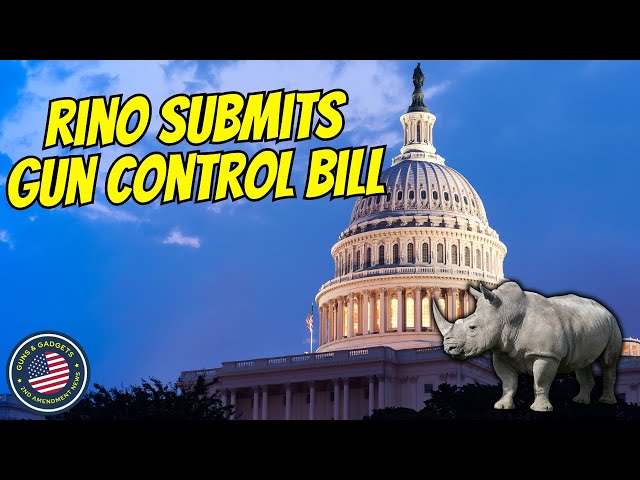 RINO Submits Federal Gun Control Bill