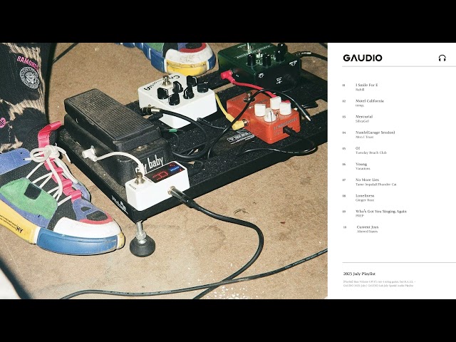 [ᴘʟᴀʏʟɪꜱᴛ] 𝐁𝐚𝐬𝐬 𝐕𝐨𝐥𝐮𝐦𝐞 𝐔𝐏! It's NOT 4 string guitar, but B.A.S.S. | GAUDIO LAB July Playlist