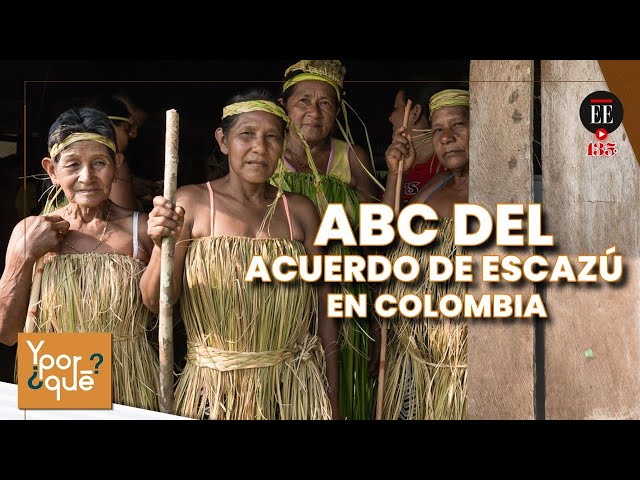 Acuerdo de Escazú: ¿Por qué es tan importante para Colombia? | El Espectador