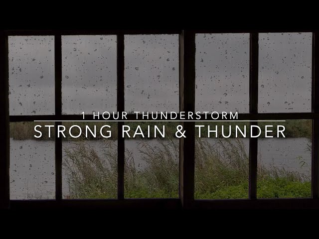 Strong Rain & Thunder Sounds for Sleeping - Windy Rain on a Window - 1 hour Thunderstorm - Rain ASMR
