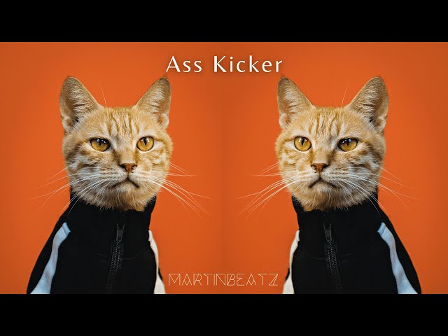 Martinbeatz - Ass Kicker