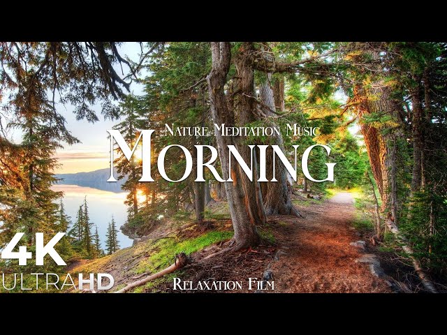 Morning Nature - Relaxation Film - Peaceful Relaxing Music - 4k Video UltraHD