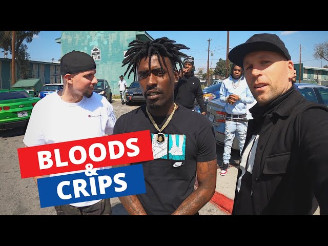 Inside LA's Most Dangerous Hoods - Meeting Bloods & Crips 🇺🇸