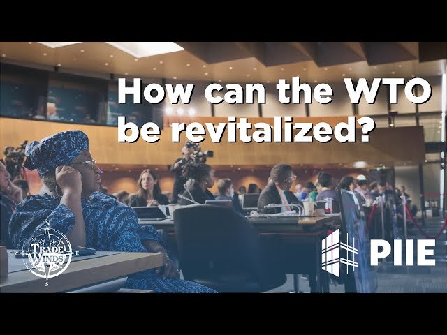 How can the WTO be revitalized?