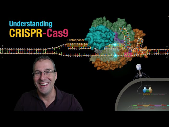 Understanding CRISPR-Cas9
