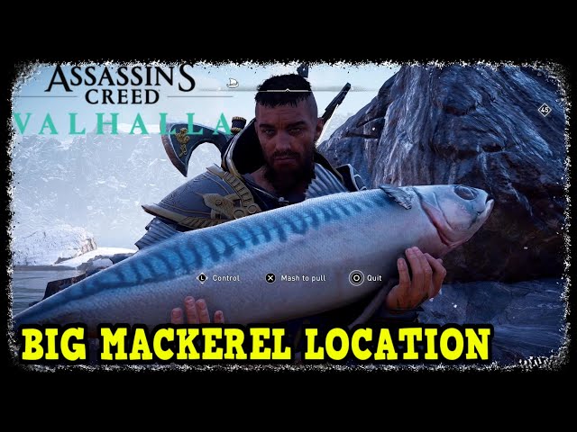 Assassin's Creed Valhalla Big Mackerel Location