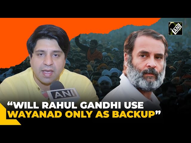 Will Rahul Gandhi use Wayanad only as backup… BJP’s Shehzad Poonawalla over Amethi suspense