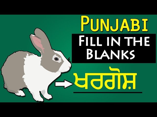 ਚਿੱਤਰ ਦੇਖ ਕੇ ਸ਼ਬਦ ਲਿਖੋ (Punjabi) - Chittar Dekh Ke Shabad Likho | Fill In The Blanks For Beginners