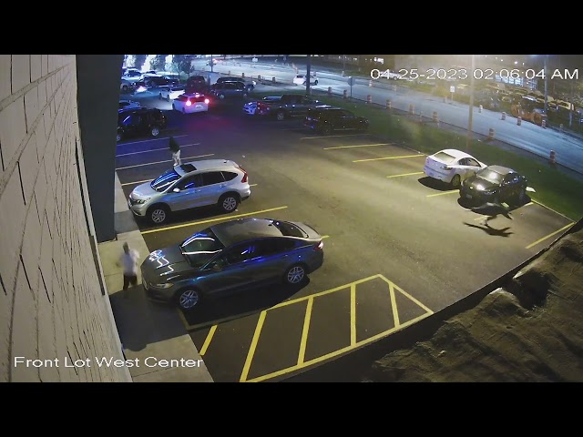Shooting captured by surveillance camera in Parma