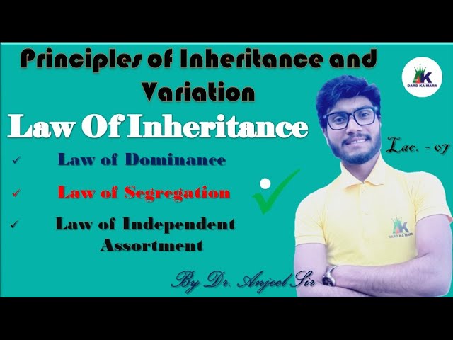 Principles of Inheritance and Variation Class 12 | Law of Inheritance Dr. Anjeel Sir | Neet 2024-25