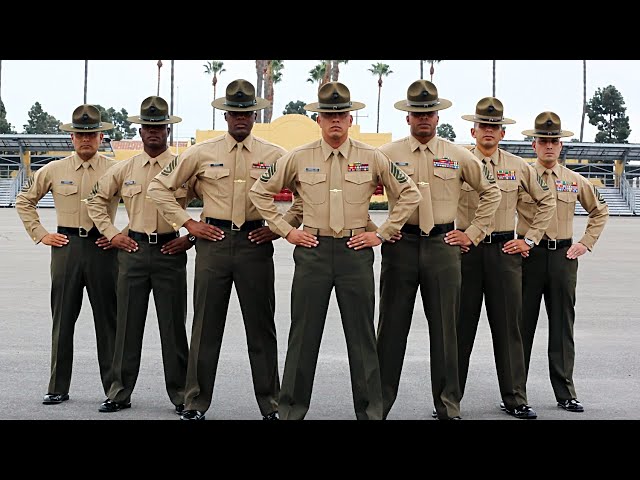 Marine Corps Drill Instructor School (Marine Reacts)