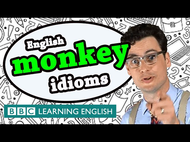 Monkey idioms - Learn English idioms with The Teacher