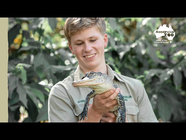 Robert Irwin tours the new croc habitat | Irwin Family Adventures