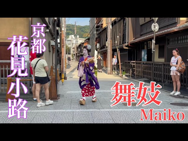 京都祇園 花見小路の美しい舞妓さん Maiko of Hanamikoji, Kyoto 【4K】夏の総集編2023