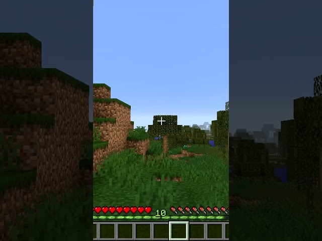 Minecraft Player Has a Heart Attack!
