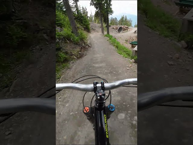 A playground on the side of a trail!  #mountainbiking  #mtblife #mtb #bike #whistler