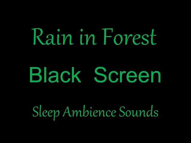 Soothing forest rain sounds for sleep and relaxing