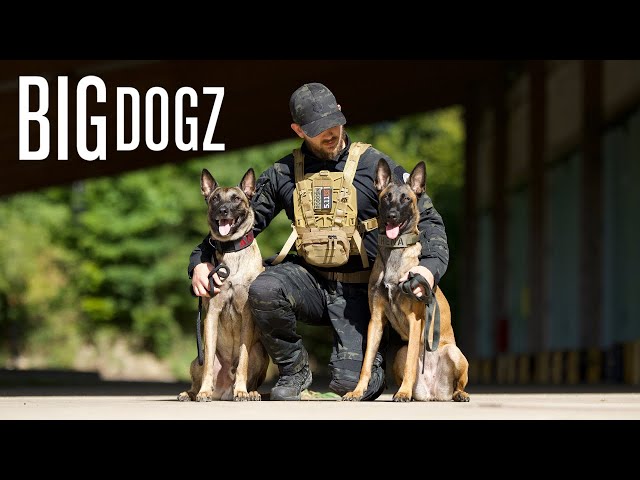 I Trained My Dogs To A Military Standard | BIG DOGZ