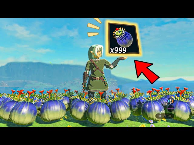 How to Get INFINITE Bomb Flowers | Zelda Tears of the Kingdom