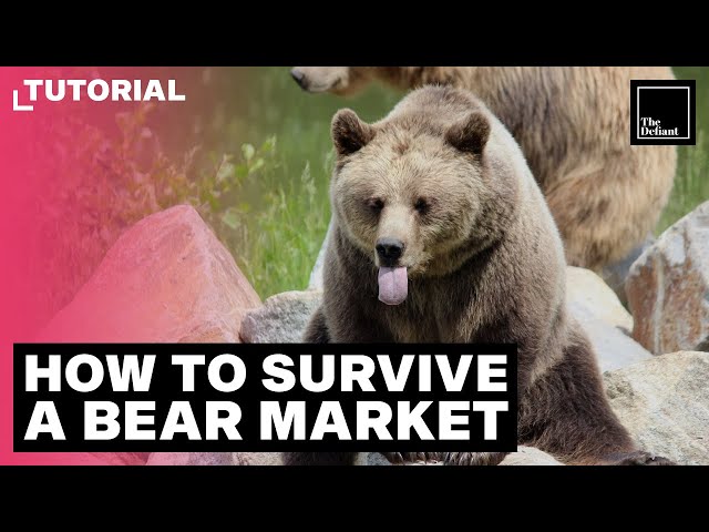 How To Survive A Bear Market