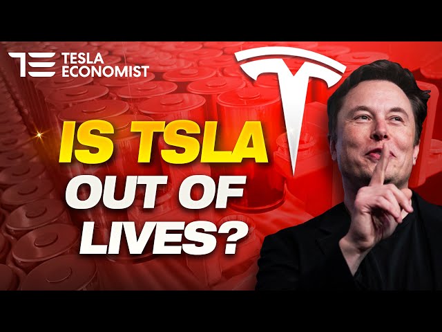 What Does TSLA have Going for it in 2024?