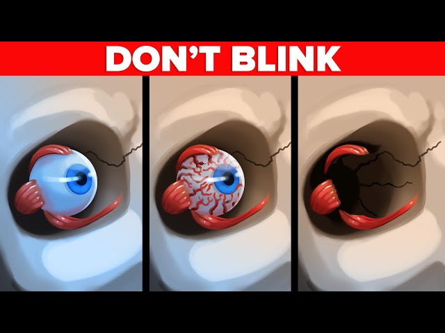 What If You Stopped Blinking (Minute by Minute)